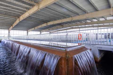 怎么保养多职能微型过滤机？